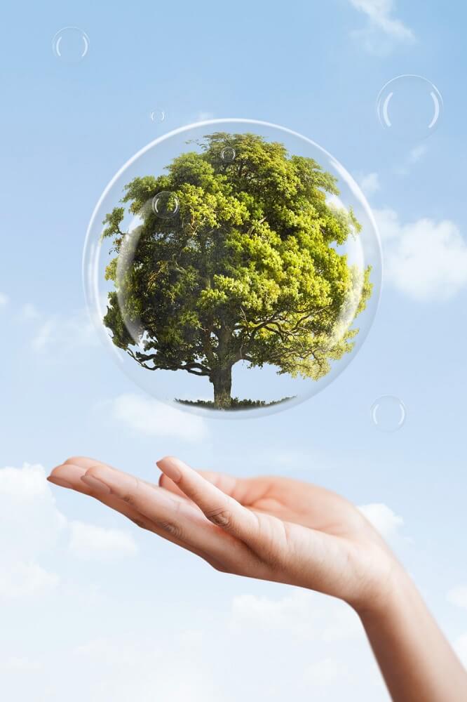 Sustainability